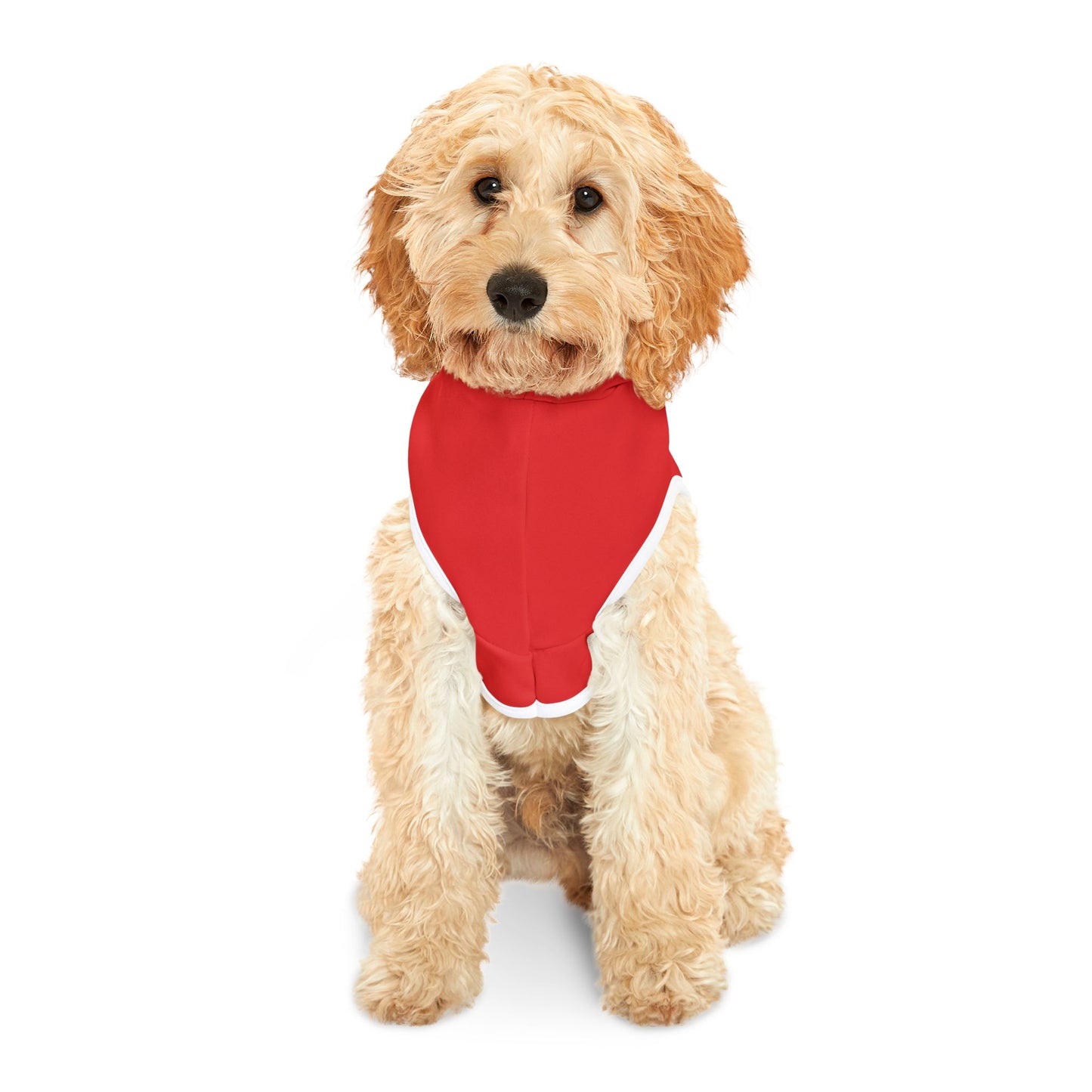 Democrat Donkey- America's Hitler Hoodie in Red, Cozy Dog Apparel, Winter Pet Gear, Funny Pet Gift, Cute Animal Clothing