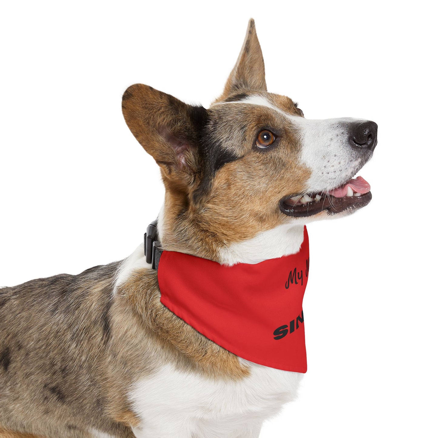 My Mimi is Single Red Pet Bandana Collar, Dog Fashion Accessory, Unique Pet Gift, Adjustable Dog Scarf, Cute Dog Apparel
