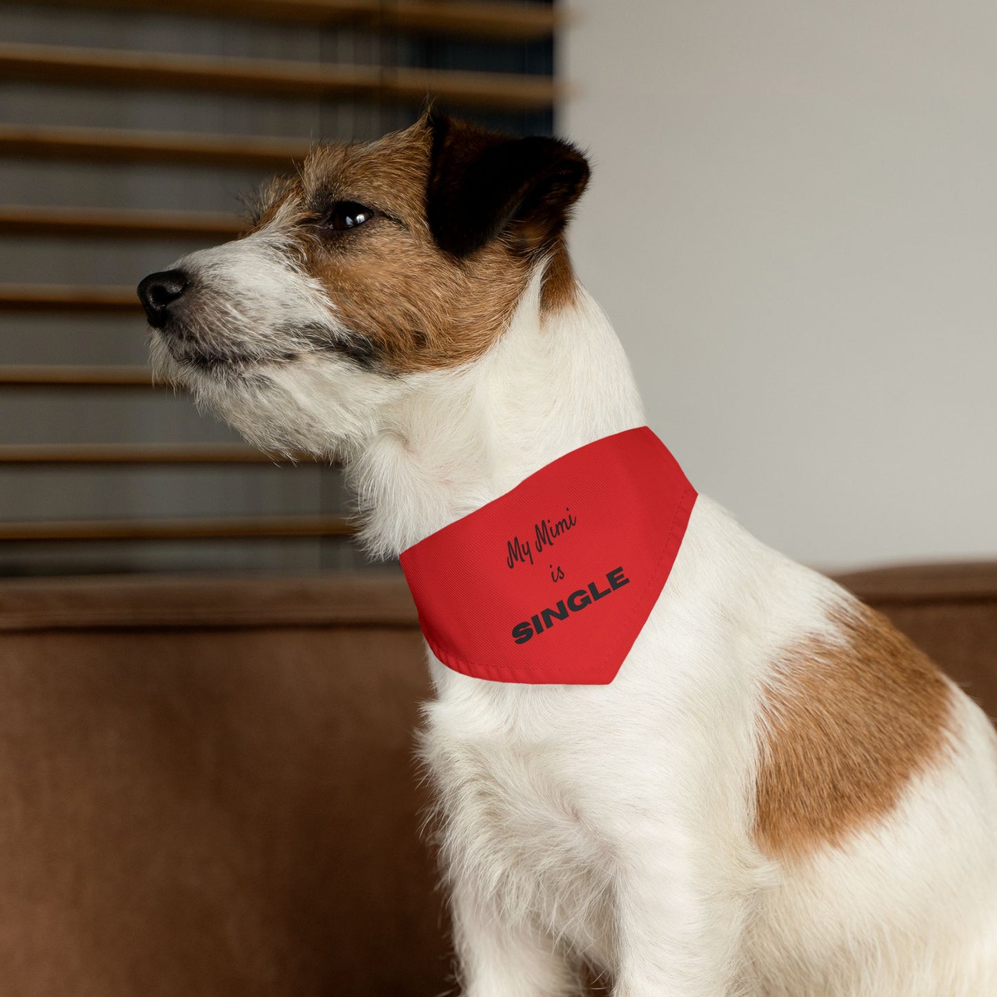 My Mimi is Single Red Pet Bandana Collar, Dog Fashion Accessory, Unique Pet Gift, Adjustable Dog Scarf, Cute Dog Apparel