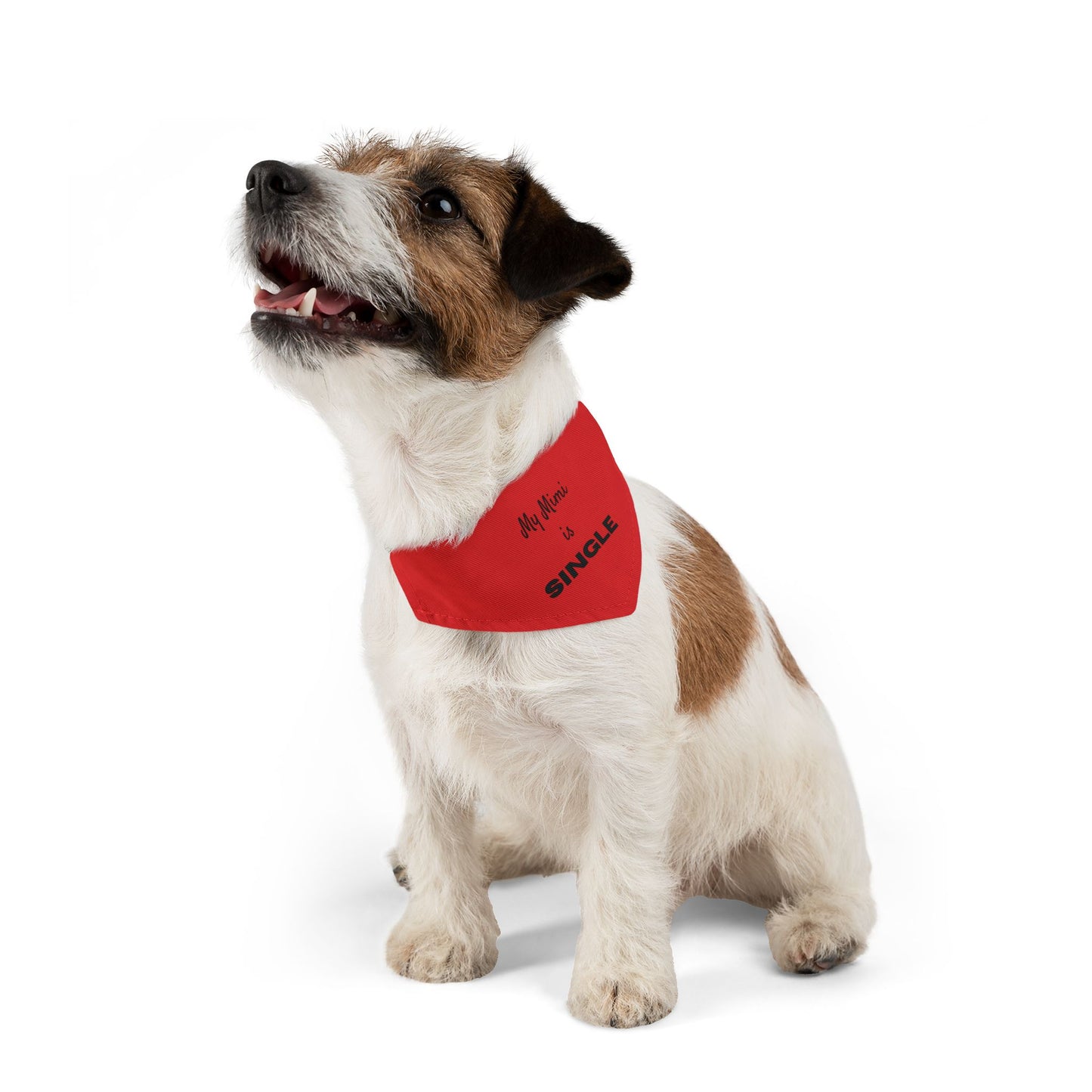 My Mimi is Single Red Pet Bandana Collar, Dog Fashion Accessory, Unique Pet Gift, Adjustable Dog Scarf, Cute Dog Apparel