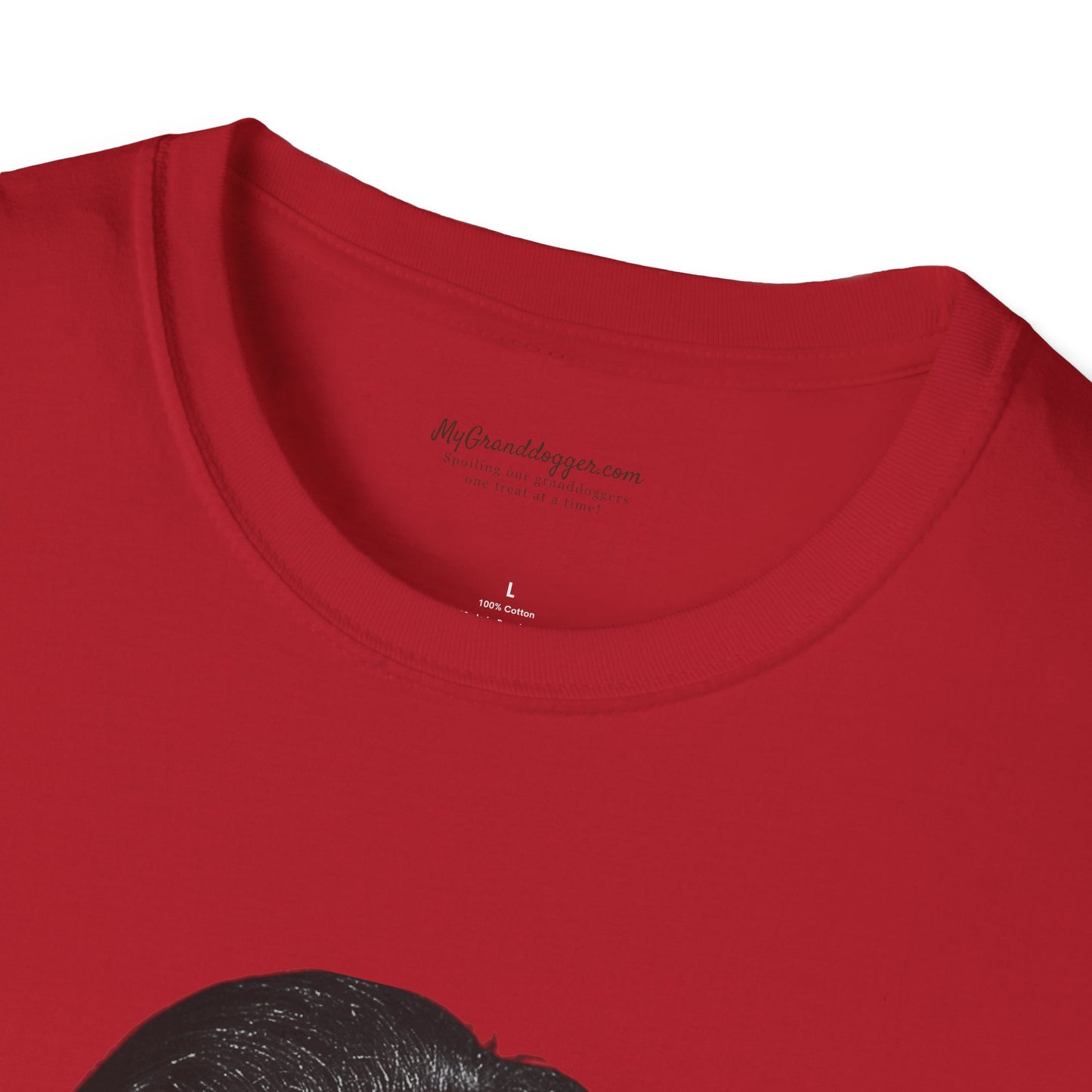 Democrat Donkey- Carpetbagger Dan Patrick Goes to Texas Unisex T-Shirt - Perfect Gift for Family, Mother's Day, Grandpawrent's Day, Birthday, Casual Wear