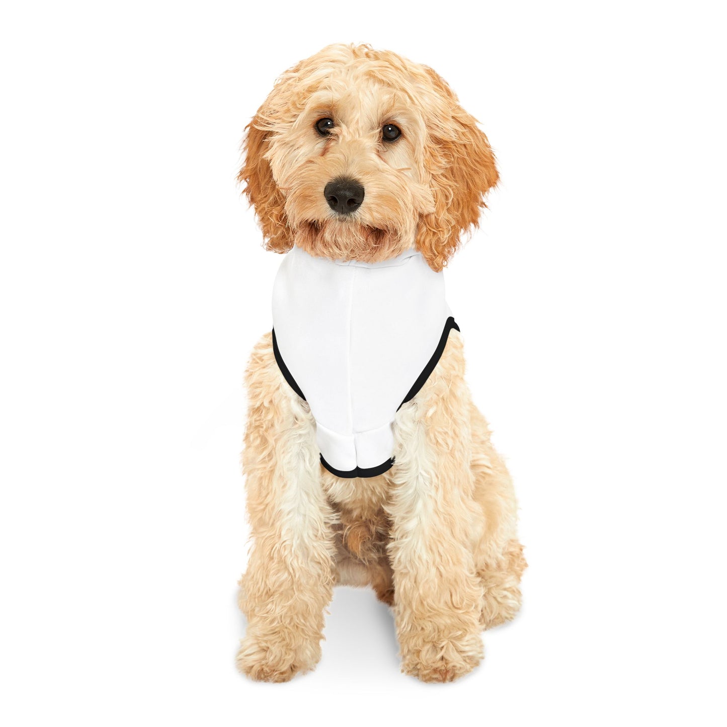 Democrat Donkey- Cruz to Cancun Cozy Dog Apparel, Winter Pet Gear, Funny Pet Gift, Cute Animal Clothing