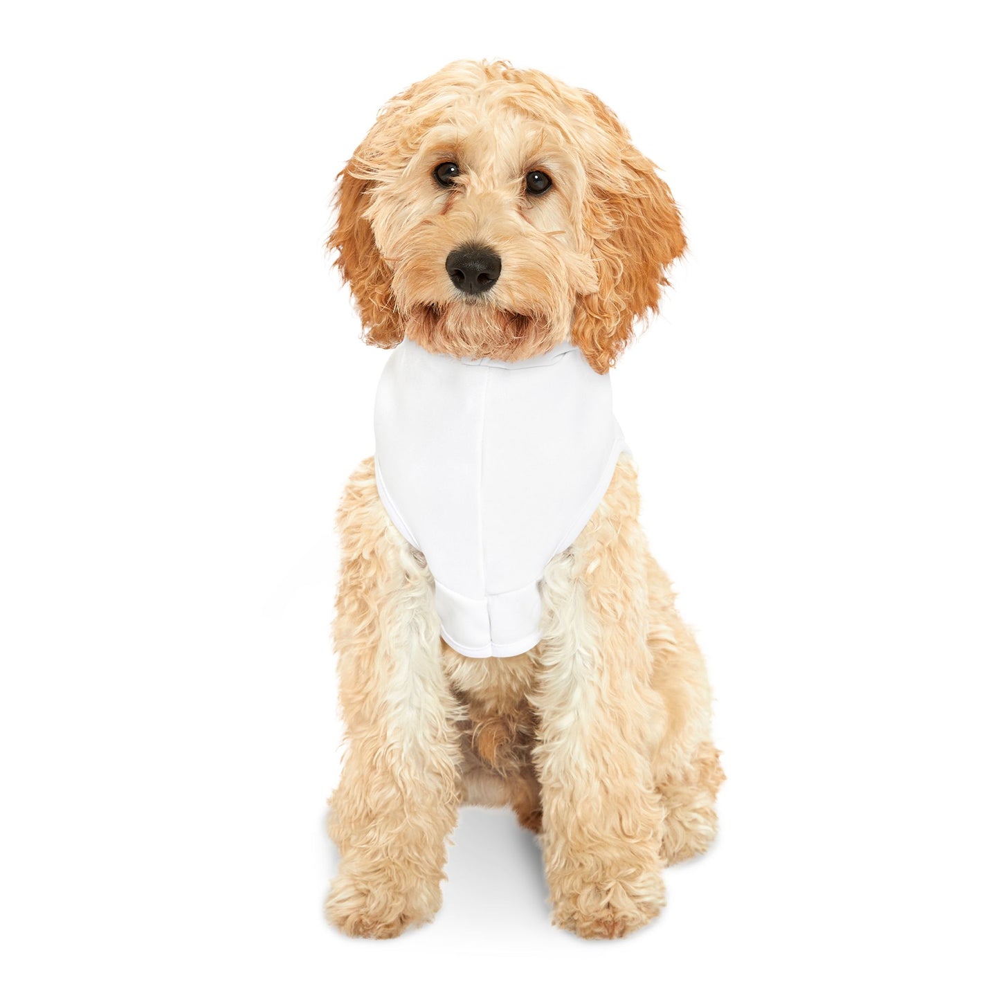 Democrat Donkey- Cruz to Cancun Cozy Dog Apparel, Winter Pet Gear, Funny Pet Gift, Cute Animal Clothing