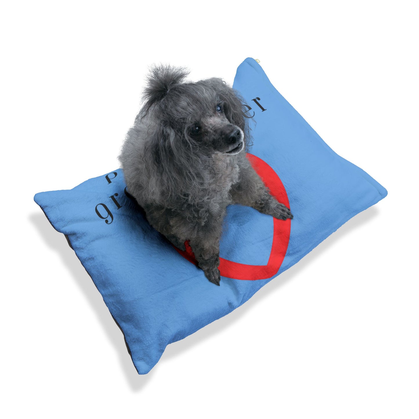 Cozy Pet Bed for Grandpuppies | PawPaw's Granddogger Custom Light Blue Dog Bed, Soft Pet Cushion, Ideal for Gifts, Home Decor, Pet Lovers