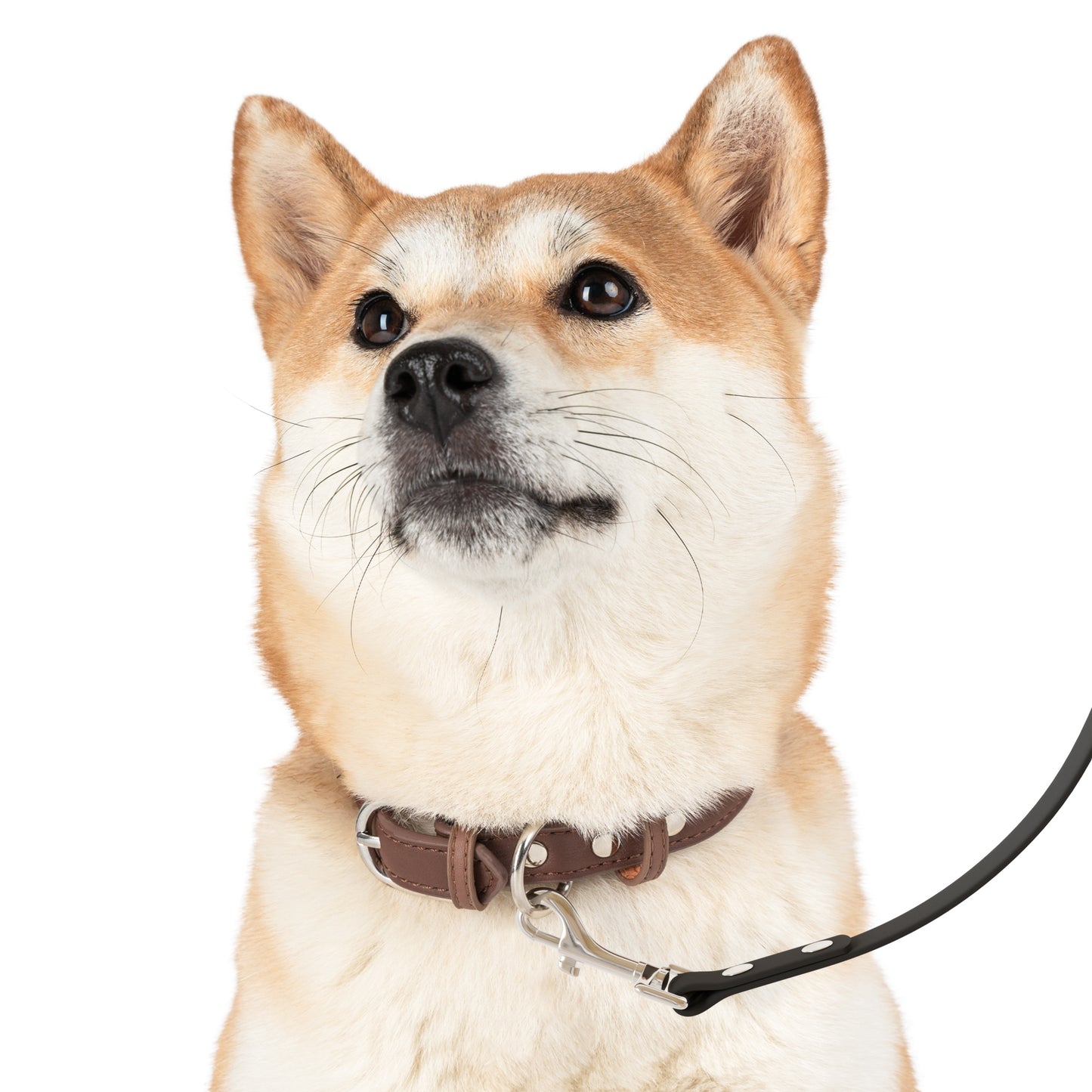 Custom Mimi's Granddogger Pink Pet Leash - Stylish Dog Leash for Pet Lovers, Personalized Grandpawrent Walking Gear, Gifts for Dog Owners, Unique Pet Accessories, [...]